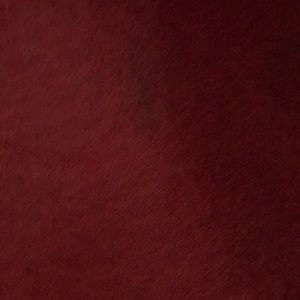 Meet your Posher, Angel